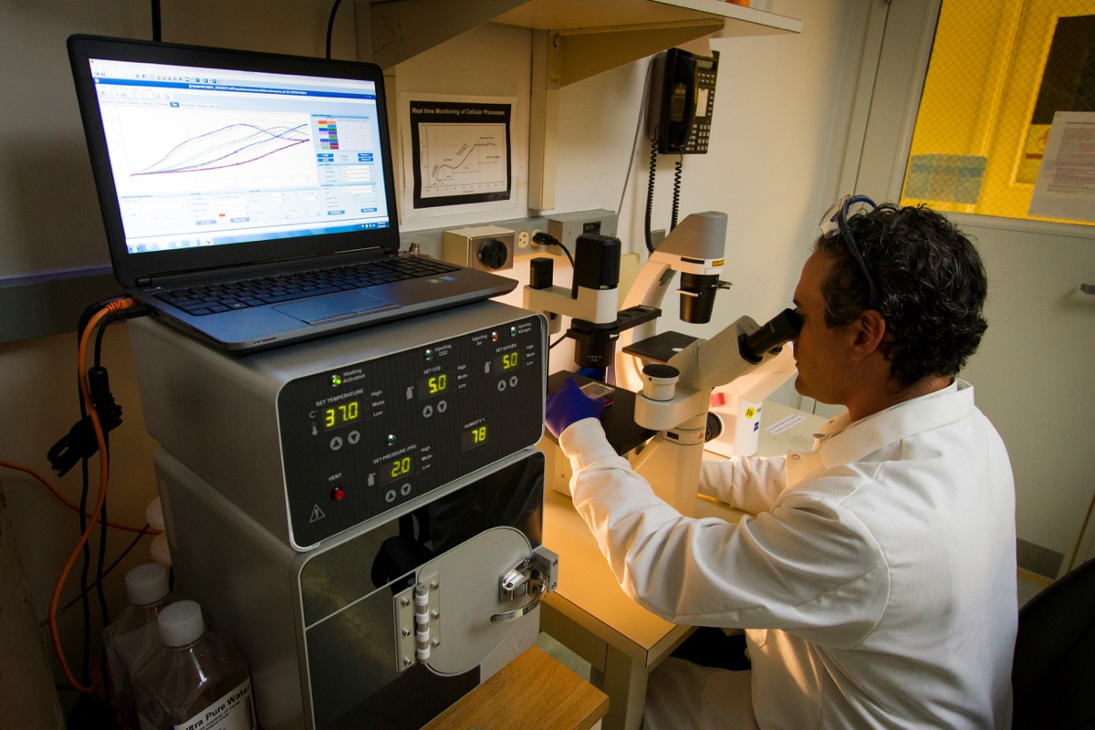 researcher looking through microscope in laboratory